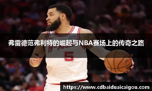 弗雷德范弗利特的崛起与NBA赛场上的传奇之路